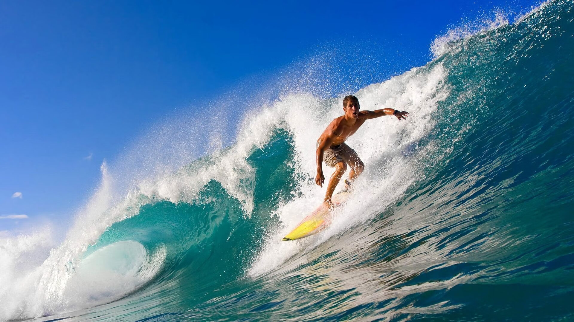 伊萨克爆发点燃战火，法国末节艺术带走佛罗伦萨