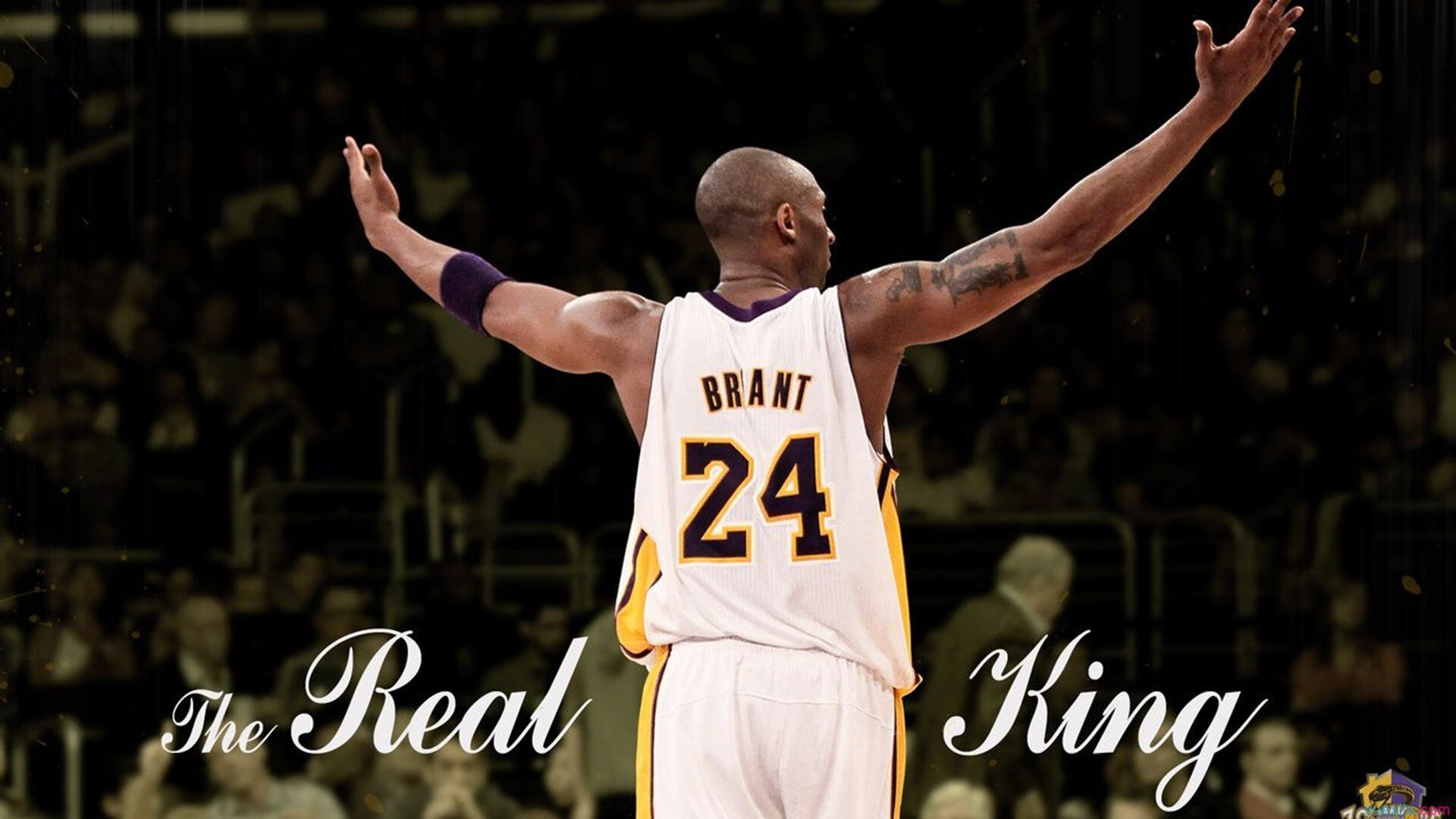 欧冠半决赛焦点战，灰熊击败鹈鹕